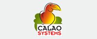 CALAO Systems